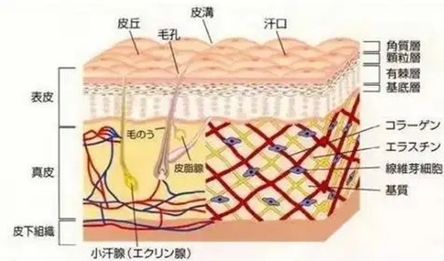 眼睛周围长了脂肪粒怎么才能搞掉？果酸焕发|激光治疗更健康起效也快