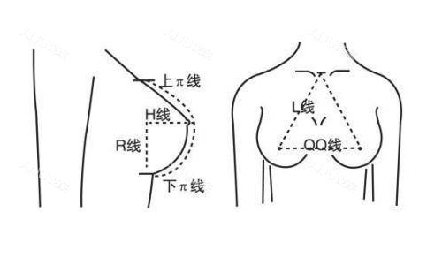 乳房再造美学图