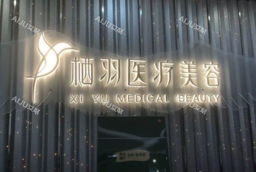 成都栖羽整形logo示意图