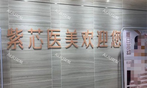 东莞紫芯医疗美容logo图