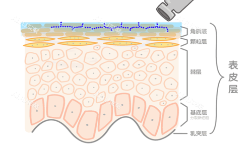 韩国焕水<span style=