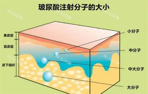 玻尿酸分子大小卡通示意图