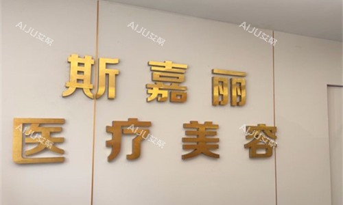 北京斯嘉丽整形logo图展示