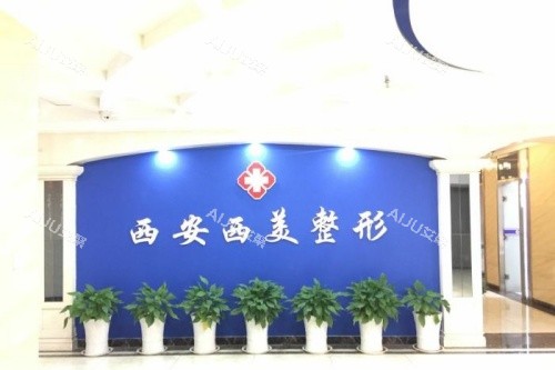 西安西美整形logo